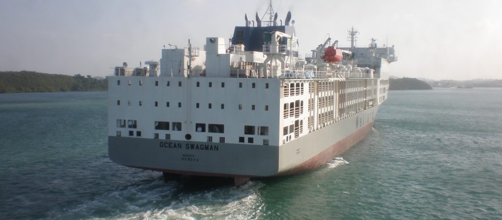 New Building Livestock Carriers